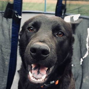 Meet your Posher, Katherine